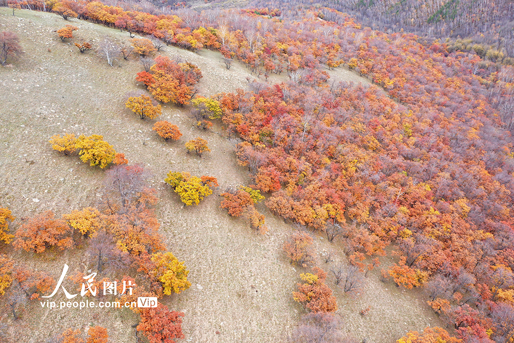 内蒙古赤峰：黄岗梁景色如画