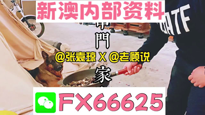 新澳门精准资料大全管家婆料,动态词语解释落实_粉丝版345.372