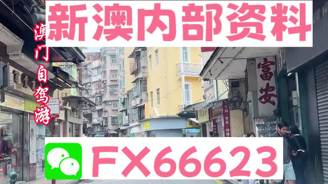 新澳精准资料免费提供网,广泛的解释落实方法分析_Android256.184