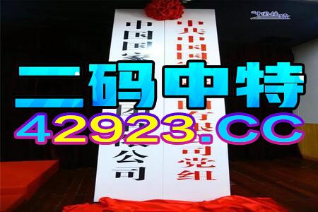 澳门正版挂牌资料全篇完整篇,效率资料解释落实_win305.210