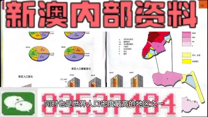 2024澳门天天开好彩精准24码，科学依据解释落实_VIP10.77.7