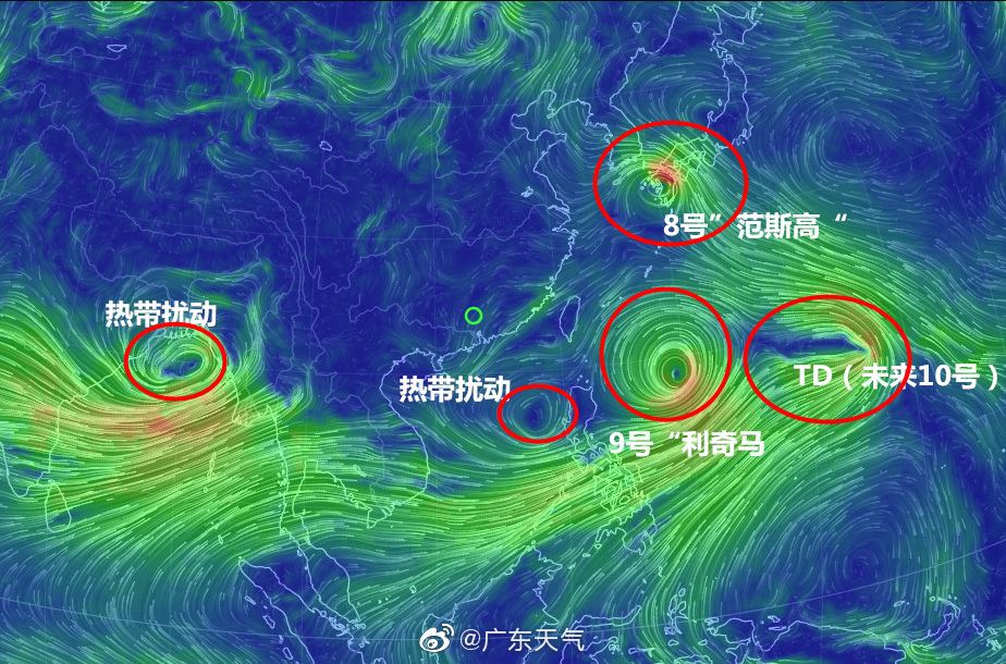 2024澳门特马今晚开奖，动态词语解释落实_网页版3.36.20