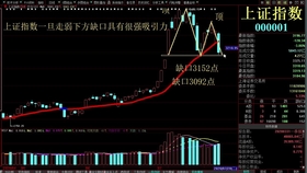 2024年今晚澳门特马，科学分析解释落实_VIP81.69.52